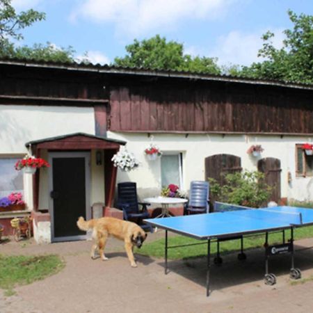 Heidi Apartment Zinnowitz Bagian luar foto