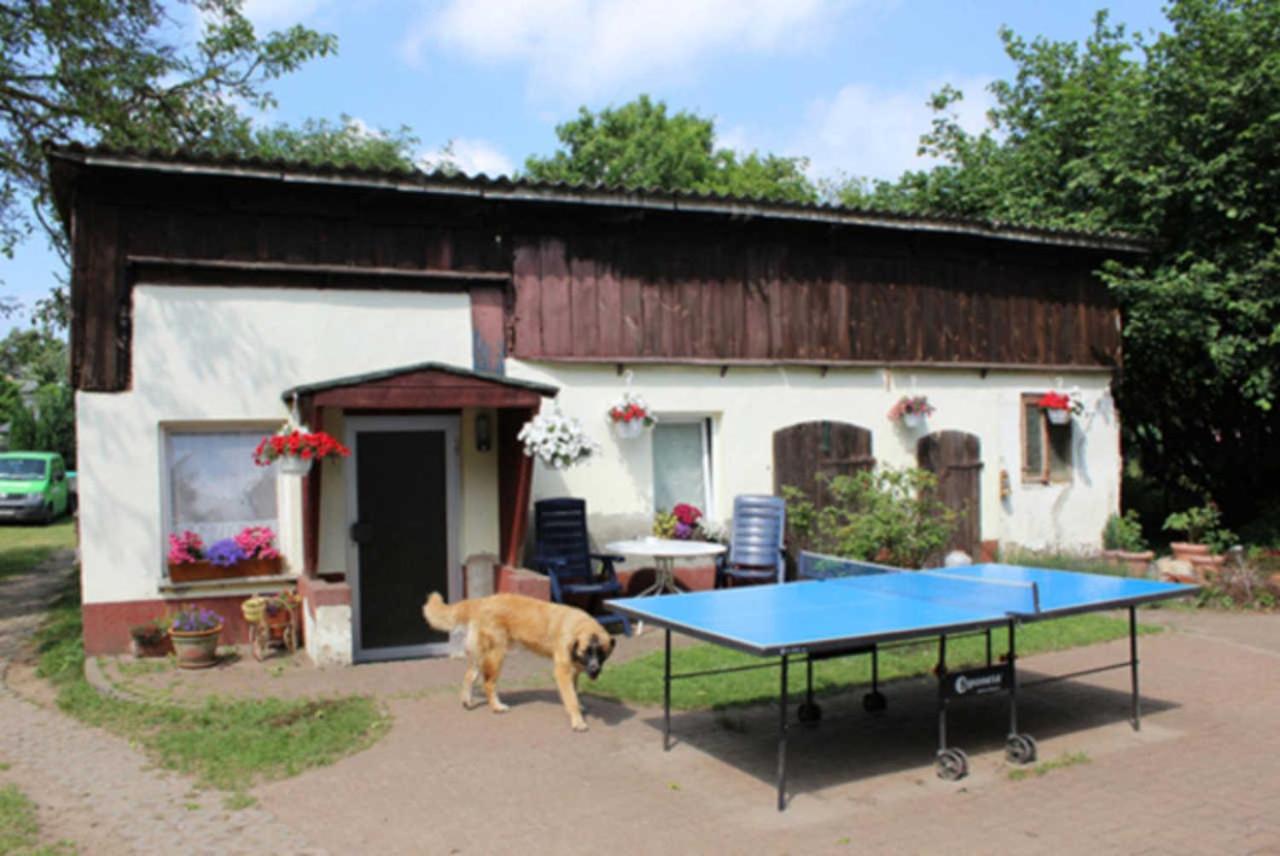 Heidi Apartment Zinnowitz Bagian luar foto